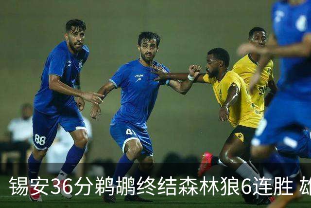 锡安36分鹈鹕终结森林狼6连胜 雄鹿险胜公牛
